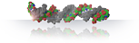 Asymmetric siRNA duplexes