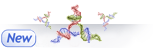 Multivalent RNA