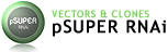 pSUPER Vectors and Clones