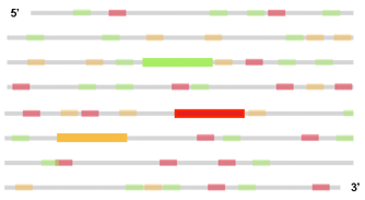 MV-RNA on target gene