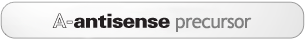 Asymmetric Antisense