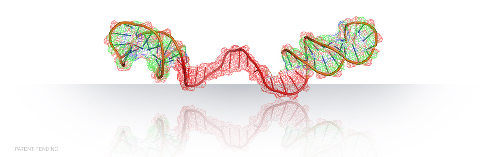 Oligoengine's new 'sense-deactivated' precursors for gene suppression