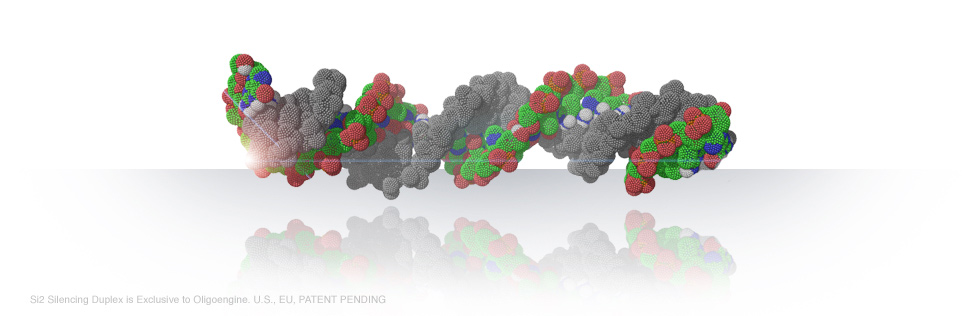 Oligoengine RNAi Products