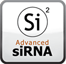 Asymmetric siRNA